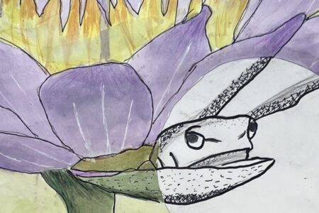 Youth Art Show — St. James Lutheran School news